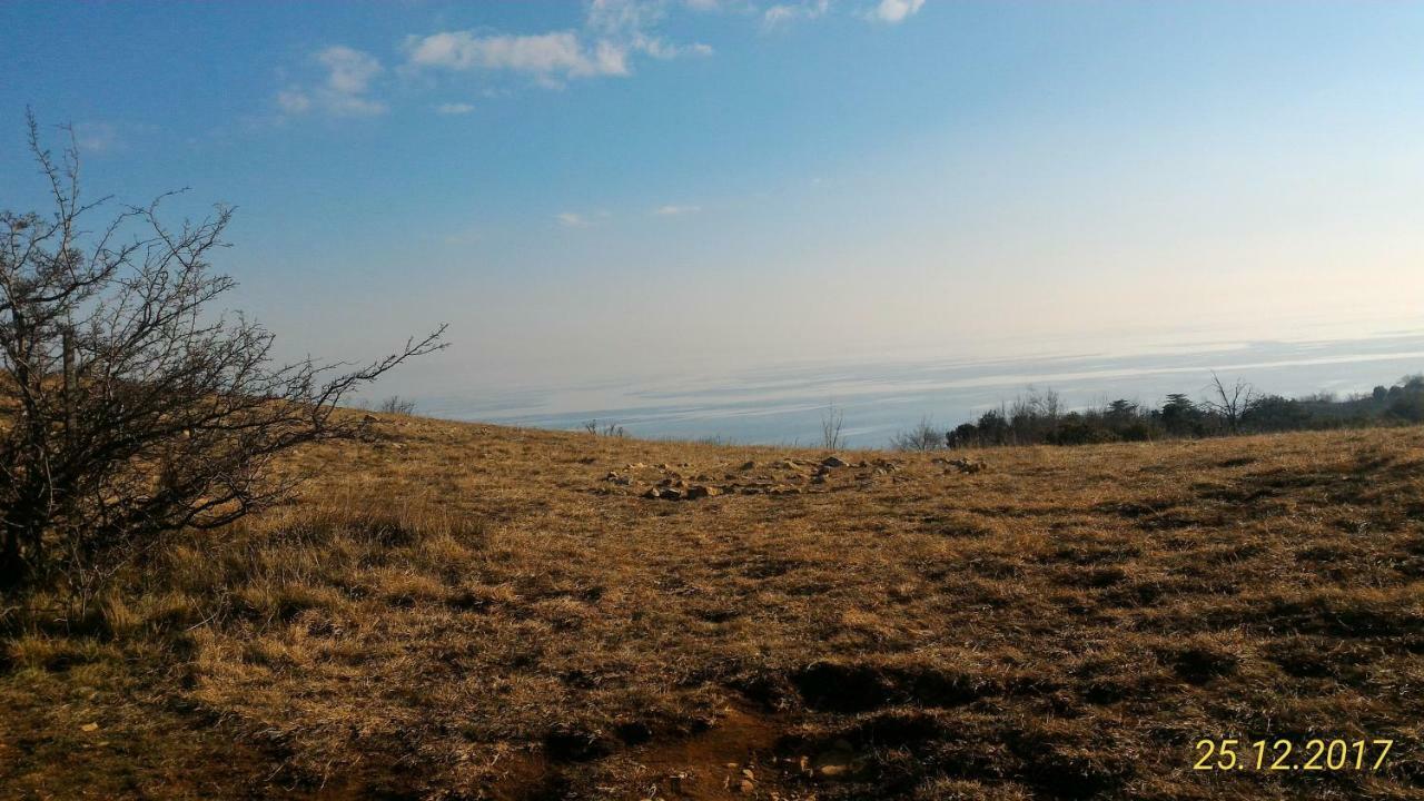 Agriturismo Holle Манерба-дель-Гарда Экстерьер фото